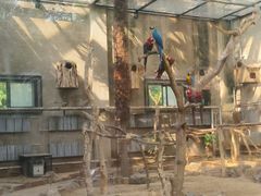 -大连森林动物园