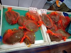 甲鱼-德清诚信农产品莫干湖甲鱼直销店