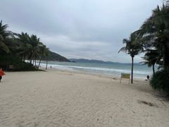 -柏悦酒店-沁园牛排海鲜西餐厅
