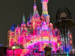 -上海迪士尼度假区