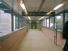 -香港大学