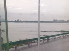 -八仔大富楼·河鲜(西江店)