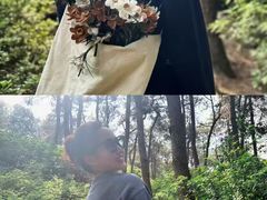 -铁山坪森林公园