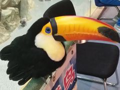 -秦皇岛新澳海底世界