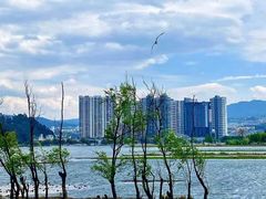 -洱海月湿地公园