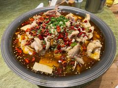 麻麻江团鱼-三道菜(明堂公园店)