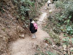 -羚羊峡古栈道森林公园