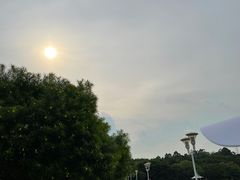 -南国桃园旅游度假区