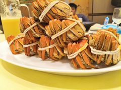-洋洋中餐馆·SINCE 1997(龙湖星湖天街店)