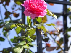 -福建鲤鱼洲酒店