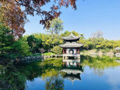 -水绘园