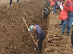 -解家河南菜(商鼎路店)