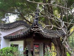 -深圳国际园林花卉博览园