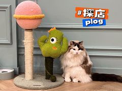 -安格丽娜·狗咖·猫咖羊驼咖(春熙路百盛商场店)