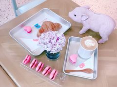 杏仁可颂-WHEN PIGS FLY当猪飞