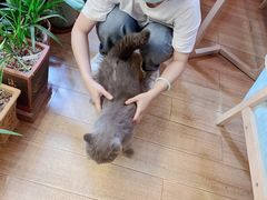 -Rabbit Cafe私房西餐甜点咖啡(栖霞路店)