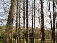 -华南国家植物园-售票处