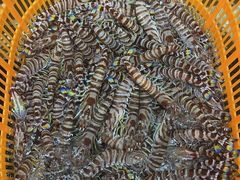 -沙田台山海鲜·酣客酒窖