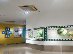 -上海昆虫博物馆