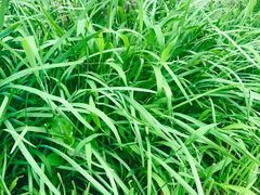 -牛八宝桂林米粉(八里庄店)