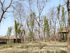 -溱湖国家湿地公园