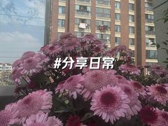 -THE hood开新里(御桥路店)