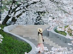 -杭州少年儿童公园