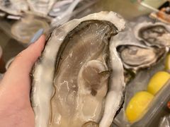 -鮨之佐壽司外賣店(氹仔市区店)
