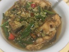 水落菜黄焖鱼-南雄雄州土菜餐厅(粤北大厦店)