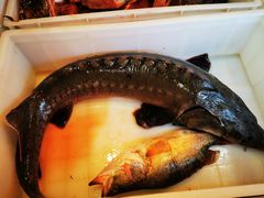 -江湖水乡铁锅炖魚(周庄嘉园店)