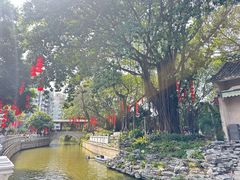 -荔湾湖公园