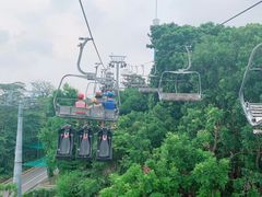 -圣淘沙天际线斜坡滑车