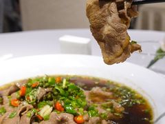 东坡藤椒肥牛-眉州东坡(民族园店)