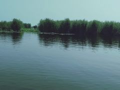 -白洋淀景区