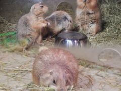 -正佳雨林生态植物园