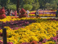 -国家植物园南园