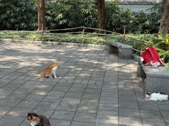 -晓港公园