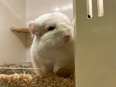 -龙猫仔乐园(惠福东路店)