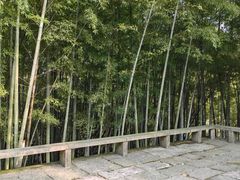 -天下玉苑