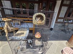 -龙姐私房菜(和顺古镇店)