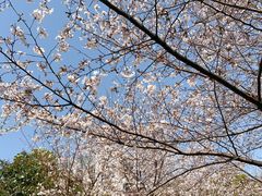 -南翔镇银翔湖公园