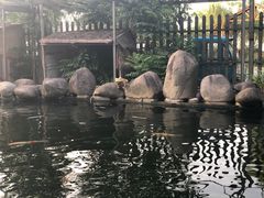 -湖鲜楼