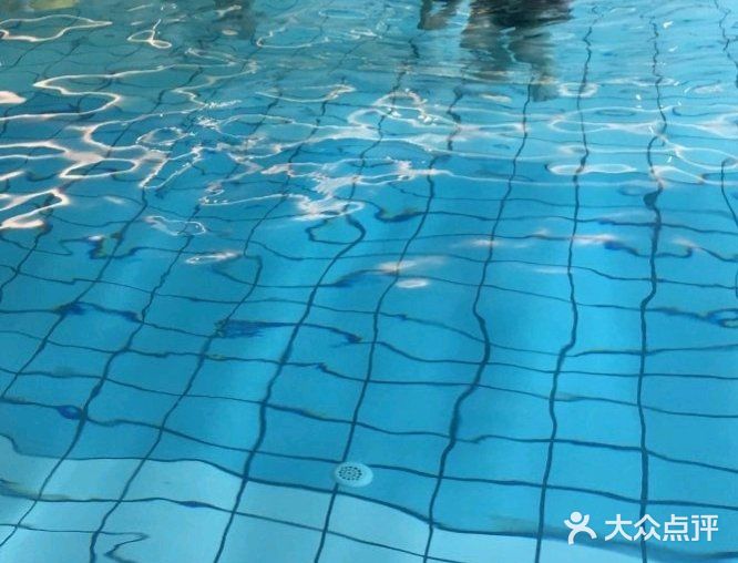 亲子游泳大比拼