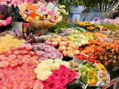 -朝来春花卉市场