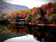 -杭州半山国家森林公园