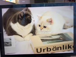 -柒薇映画7v Fix·孕照馆