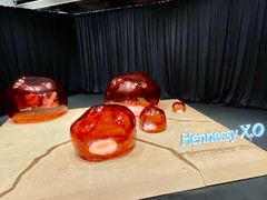 -精绝七日-新疆尼雅遗址数字大展【拉法耶文化艺术中心】