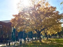 -北京邮电大学