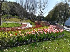 -中共上海市委党校 上海行政学院