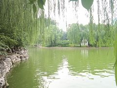 -团结湖公园